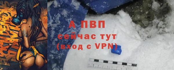Альфа ПВП Белокуриха