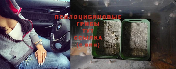 экстази Богородск