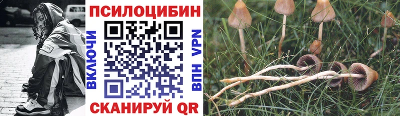 Галлюциногенные грибы MAGIC MUSHROOMS  купить наркотики сайты  Биробиджан 